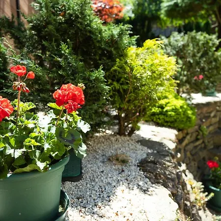 Cecey Vendeghaz Bed & Breakfast Eger