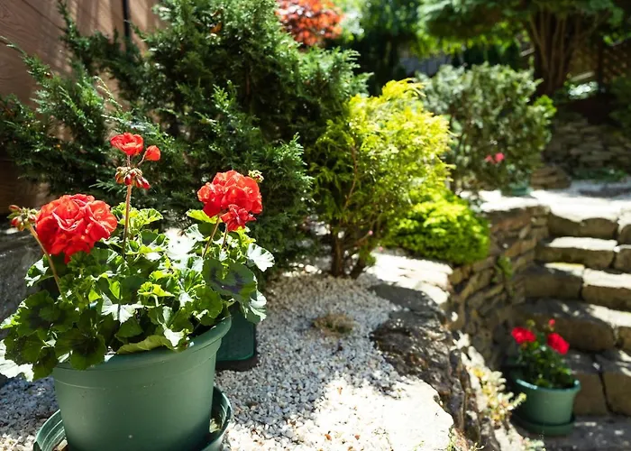 Cecey Bed and breakfast Eger